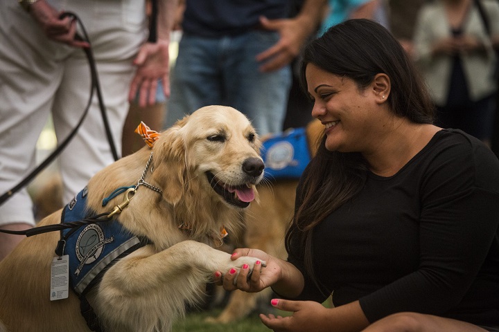 Melissa Soto shakes a paw of comfort dog Susie near a memorial site in honor of the victims of the Orlando mass shooting in Orlando, Florida, 14 June 2016.