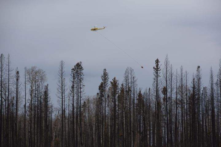 A helicopter drops water near a burnt tree line in the neighbourhood of Timberlea, in Fort McMurray, Alta., on Wednesday June 1, 2016. Residents began returning to their homes after being evacuated due to wildfires.THE CANADIAN PRESS/Jason Franson