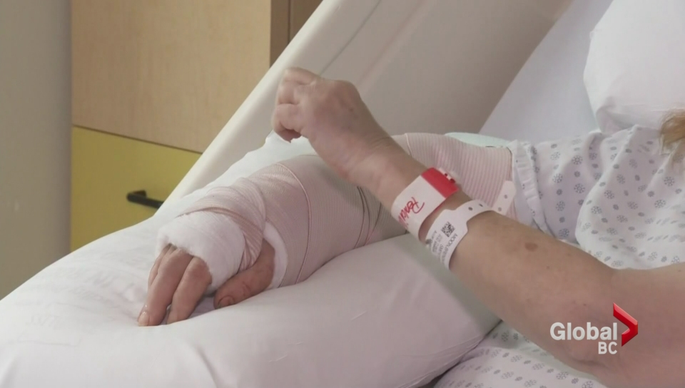 Pit bull that attacked woman in Surrey killed by Animal Control - image