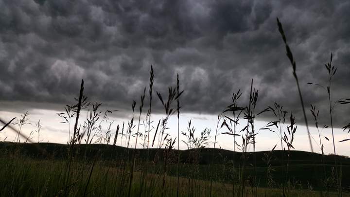 July 4: Brandi Sankey took this Your Saskatchewan photo near Lloydminster.