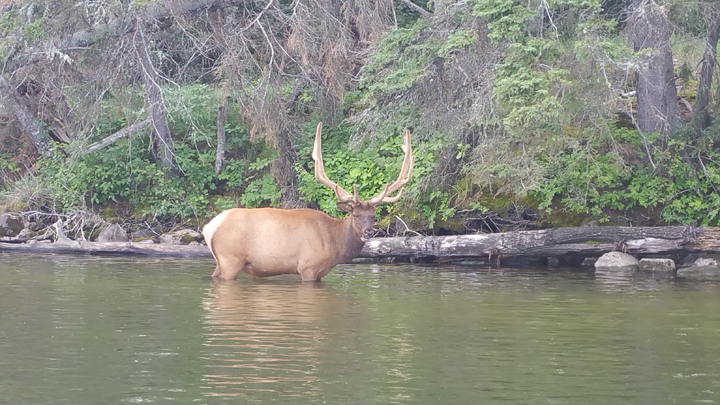 July 21: This Your Saskatchewan photo was taken by Patricia Warlet Caldeira at Waskesiu Lake.