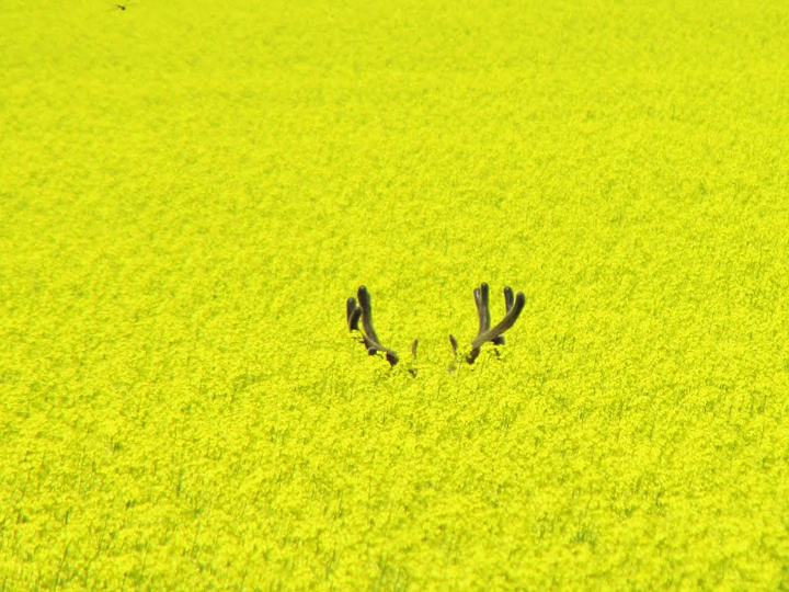 July 22: Lucas Winiewski took this Your Saskatchewan photo near Moose Jaw.