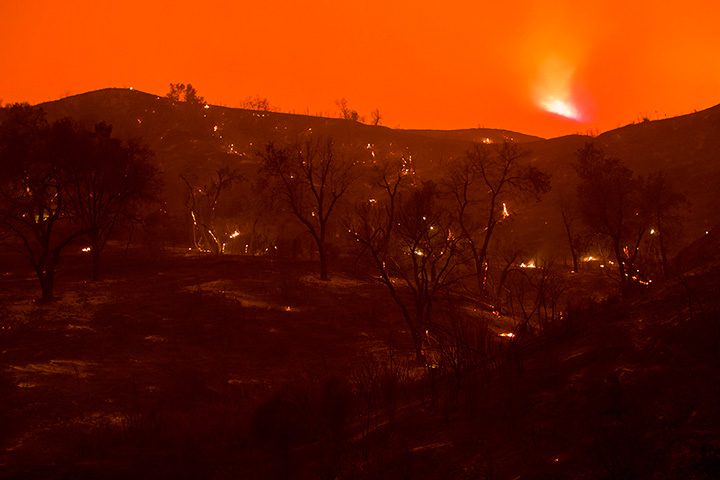 A scorch forest smolders in Placerita Canyon at the Sand Fire on July 24, 2016 in Santa Clarita, California.