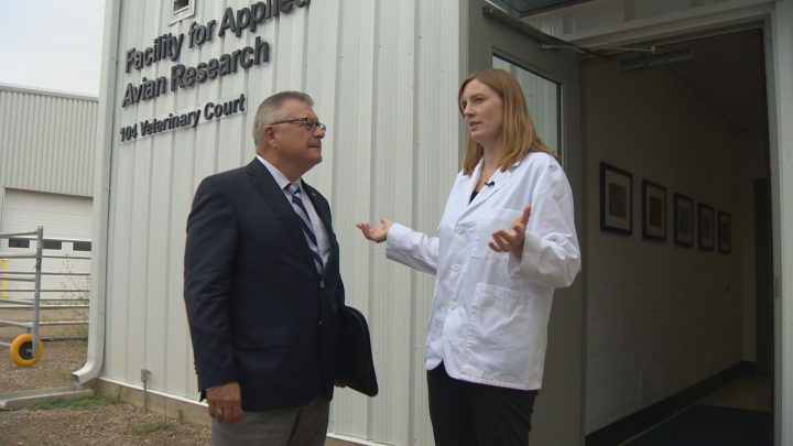 Public Safety Minister Ralph Goodale announced the funding for the Facility for Applied Avian Research and other projects at the University of Saskatchewan.