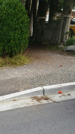 North Vancouver RCMP say this is where the incident happened.