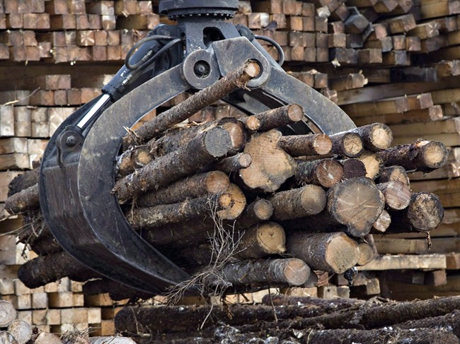 Workers pile logs at a softwood lumber sawmill in Saguenay, Que., on Nov. 14, 2008.