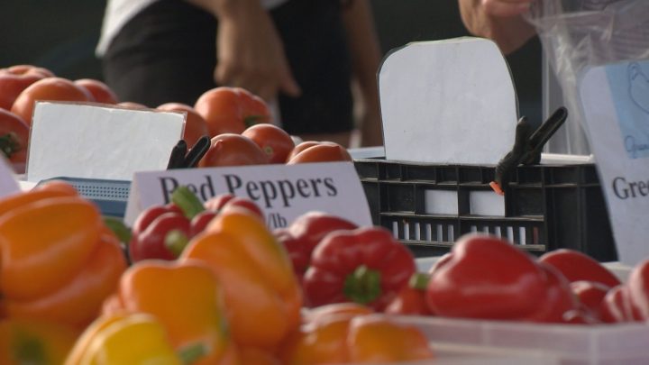 Popularity of Saskatoon Farmers’ Market creating growing pains - image