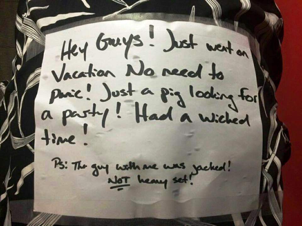 Henry the Pig returns home to Calgary’s The Unicorn pub following weekend theft - image