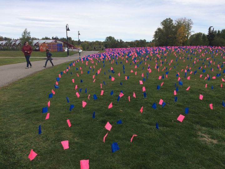 Anti abortion flags