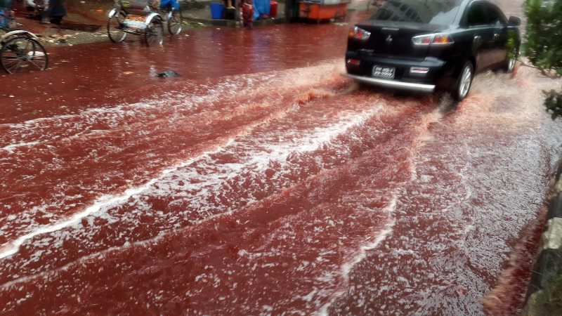 In this Tuesday, Sept. 13, 2016 photo, a car drives past a road turned red after blood from sacrificial animals mixed with water from heavy rainfall in Dhaka, Bangladesh.