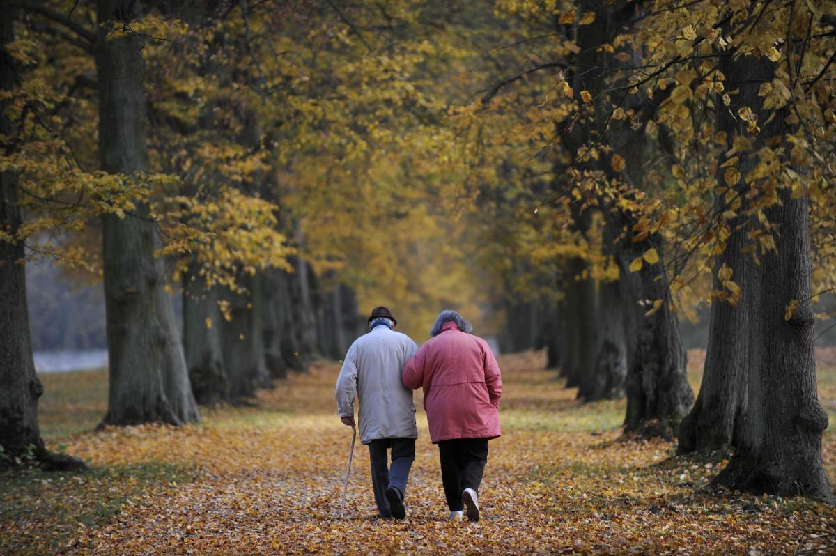 A date night every two weeks can really increase the odds of a married couple staying together, new study says.