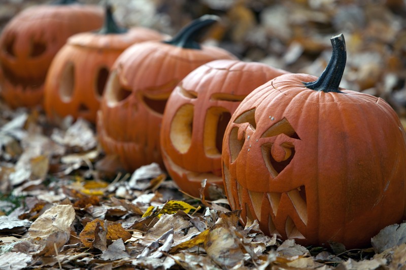 Halloween pumpkin fall