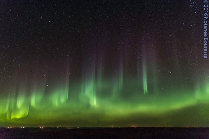 Notanee Bourassa captured this amazing display of northern lights 32 km north of Regina, Saskatchewan early Wednesday morning.