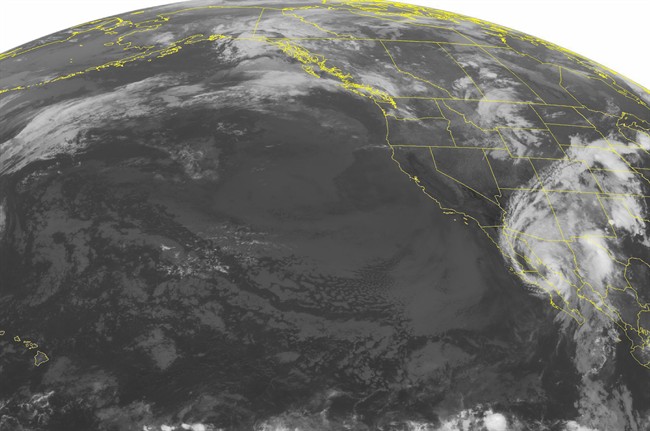This NOAA satellite image taken Wednesday, Sept. 07, 2016 at 01:00 AM EDT shows Hurricane Newton moving northward up the Baja Mexico coast. Widespread showers with a few embedded thunderstorms can be seen across parts of Arizona and New Mexico due to the outer rain bands. Newton is expected to weaken to a Tropical Storm as it makes landfall over far northwest Mexico. An area of showers can be seen across the northern Intermountain West, while weakening showers can be seen across the Pacific Northwest. The West Coast remains dry and clear, while mostly cloudy skies can be seen across the Rockies. (NOAA/Weather Underground via AP).