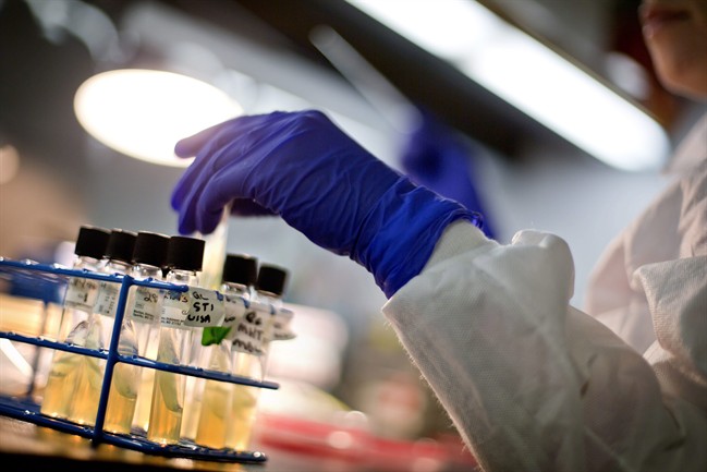 The Vector lab in Russia is one of two known locations that holds a stock of the smallpox virus.