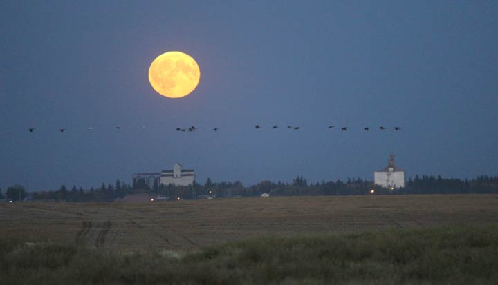 Sept. 21: This Your Saskatchewan photo was taken by Tracy Henderson near Leask.