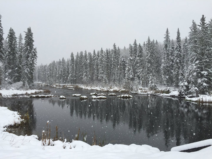 Oct. 11: Daniel Bushman took this Your Saskatchewan photo in Waskesiu.