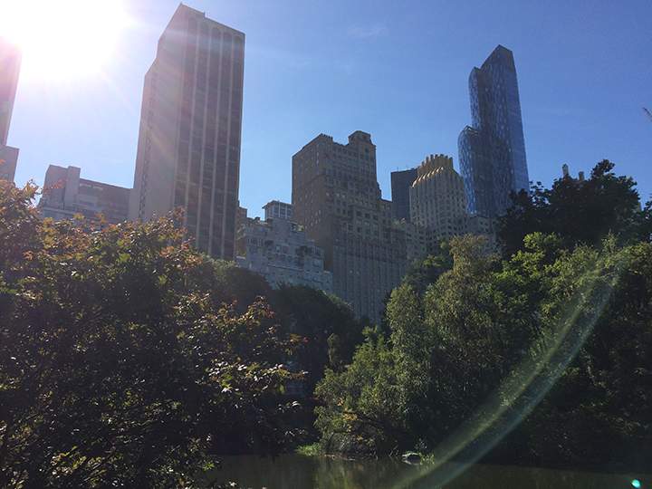 NYC - Central Park