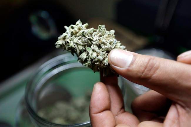 A human rights board has determined a Nova Scotia man's prescribed medical marijuana must be covered by his employee insurance plan, a ruling that advocates say will likely have impact nationwide.