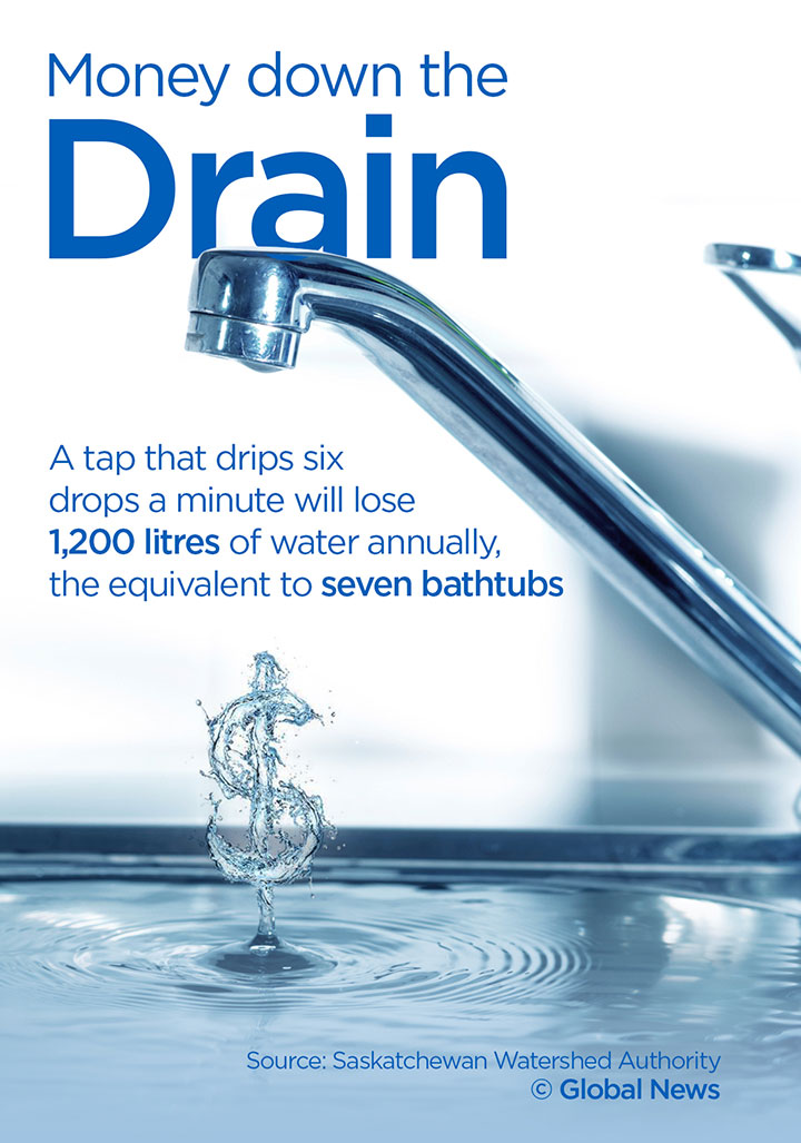 This is how much water Canadians waste - image