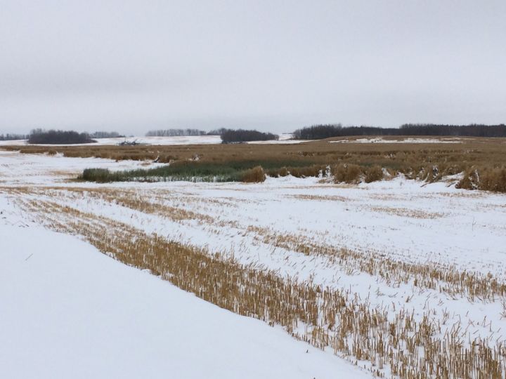 Farm Credit Canada may defer principle payments for farmers affected by the wet conditions impacting harvest and crop quality.