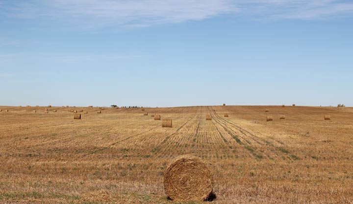 Oct. 1: This Your Saskatchewan photo was taken by Linda Coates near Leader.