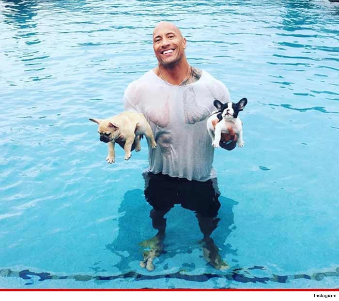 The Rock is the Sexiest Man Alive and here are 7 reasons why - image