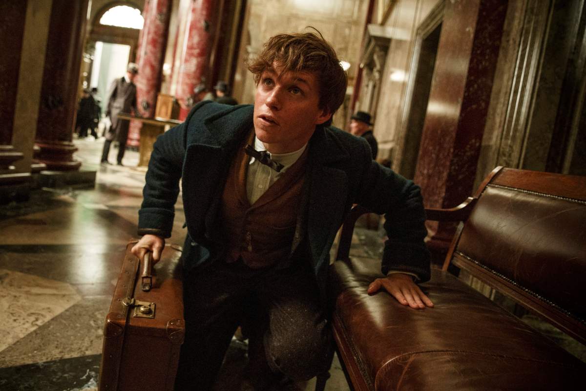 This image released by Warner Bros. Entertainment shows Eddie Redmayne in a scene from, "Fantastic Beasts and Where to Find Them." (.