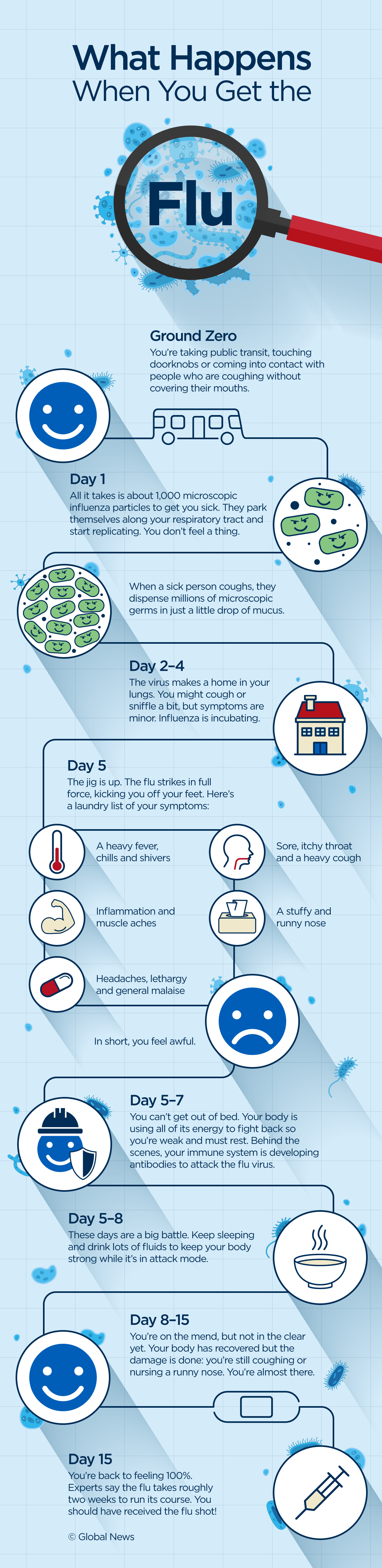 What happens to your body when you get the flu, step by step - image