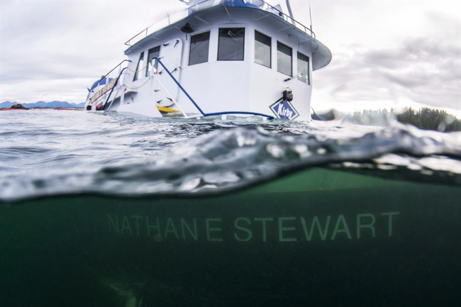 Federal government withholds information on impact of B.C. diesel spill - image