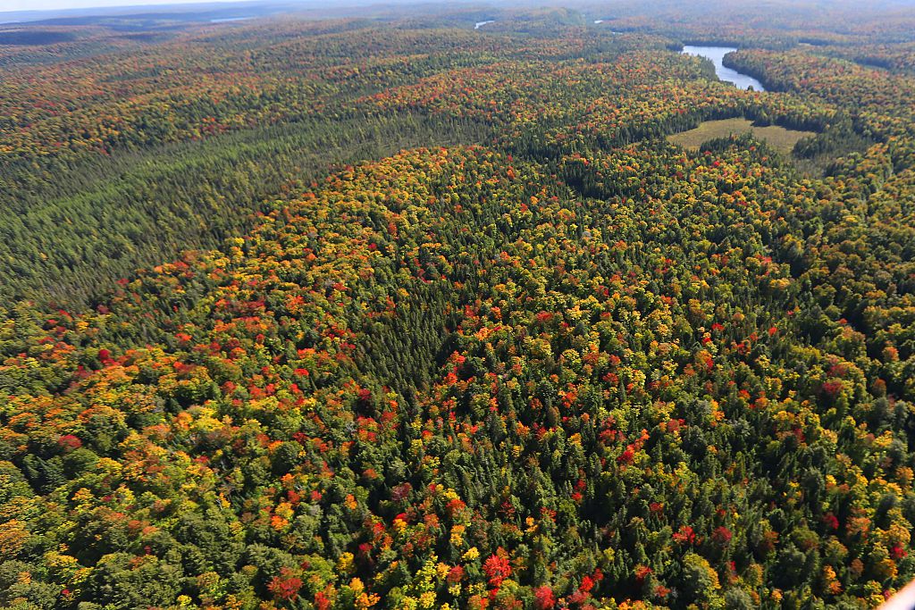 Algonquin Park and Muskoka.