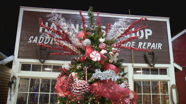 Festival of Trees