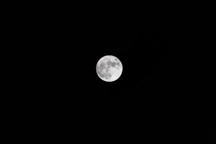 Dec. 17: This Your Saskatchewan photo of the supermoon was taken by Kitiara Martens near Hepburn.