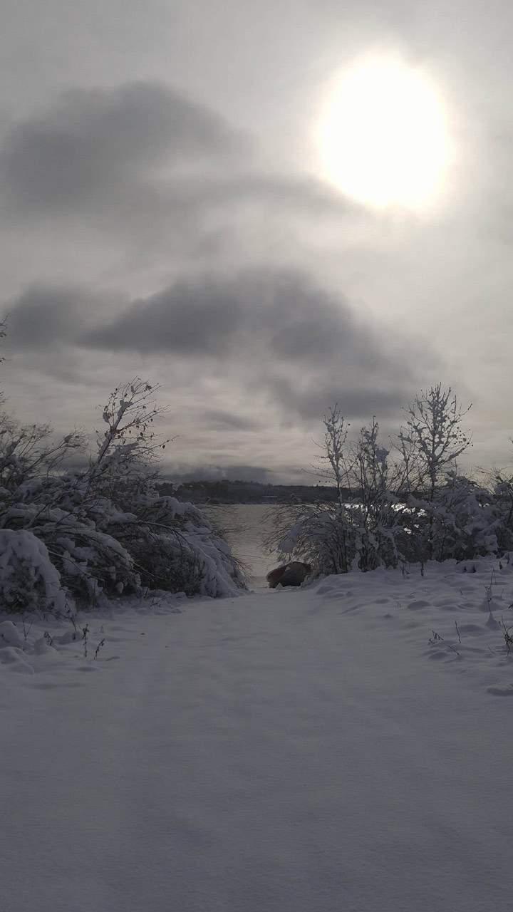 Dec. 26: This Your Saskatchewan photo was taken by Carol Couillonneur at Île-à-la-Crosse.
