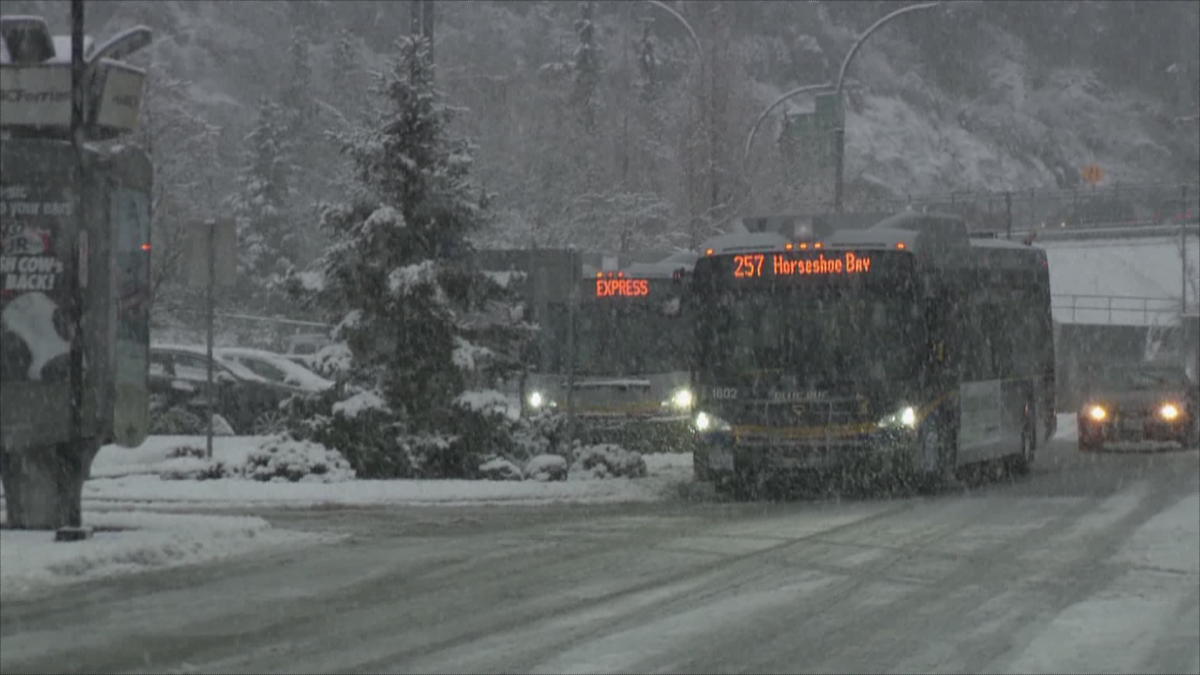 Transit was busy in Horseshoe Bay. Photo: Global News