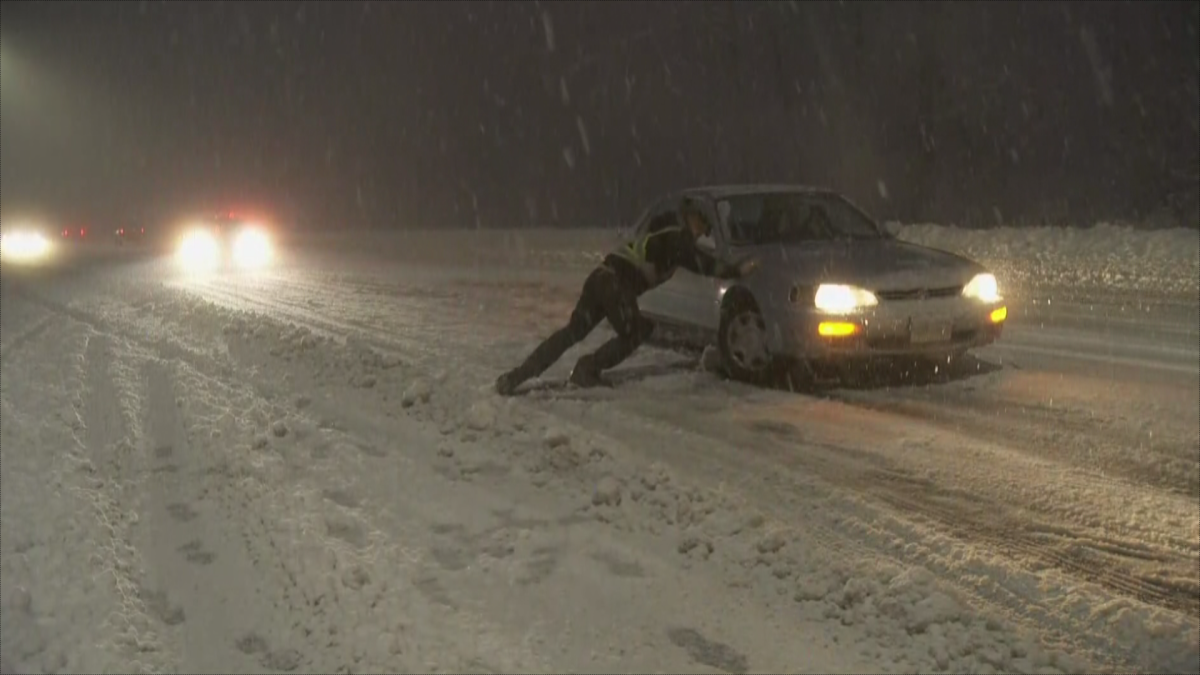 Cars stuck on Burnaby Mountain. Photo: Global News