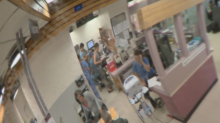 MD Ambulance paramedics recover after call volumes surge through the roof - image