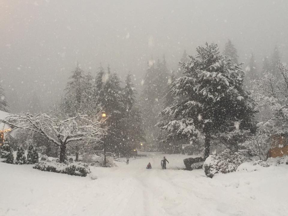 North Vancouver received 15 cm of snow by 5 p.m. on Mondau. Photo: Mehrnaz Barirani