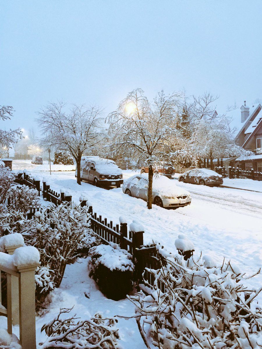 A winter wonderland in South Burnaby. Photo: Raymond San Pedro