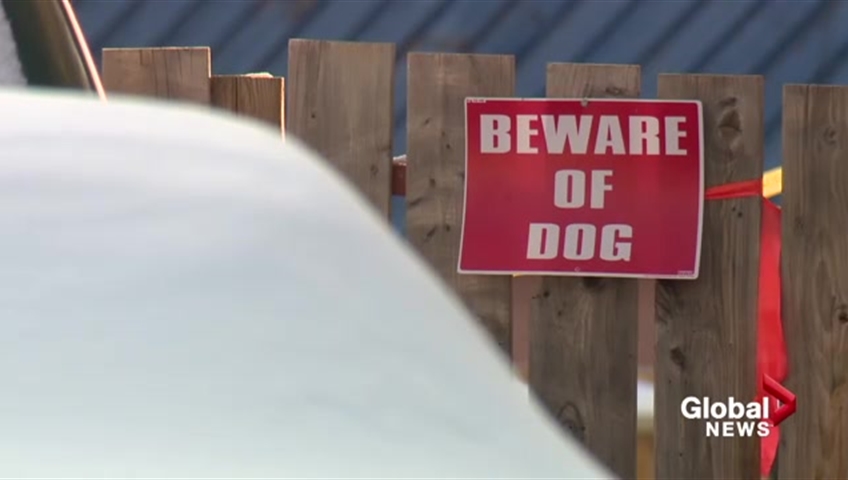 Fille phpto. 