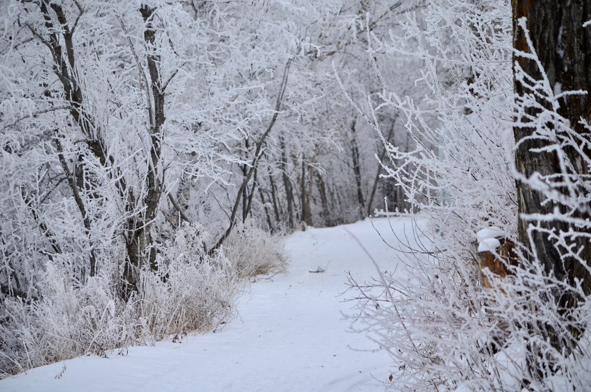 Roxanne Perrson, Edmonton.