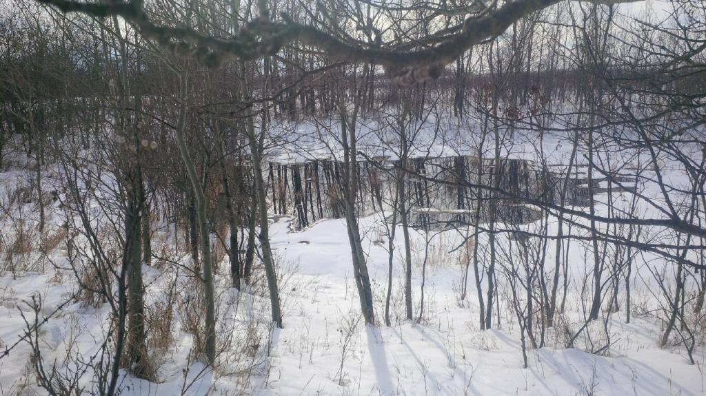 Photo taken of oil spill on Ocean Man First Nation on Friday afternoon.