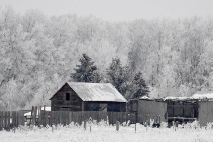 Jan. 15: This Your Saskatchewan photo was taken by Ariane Muirhead near Fort Qu'Appelle.