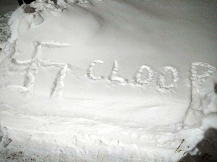 Police say they're investigating after a swastika was found in front of a woman's home in Sault Ste. Marie, Ont.
