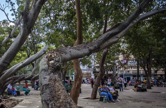 In this Jan. 6, 2017 photo, people use a public wifi hotspot in Havana, Cuba. Cuba depended on slow, expensive satellite internet until 2013, when it opened a fiber-optic cable to Venezuela that connected the island to the global online infrastructure.