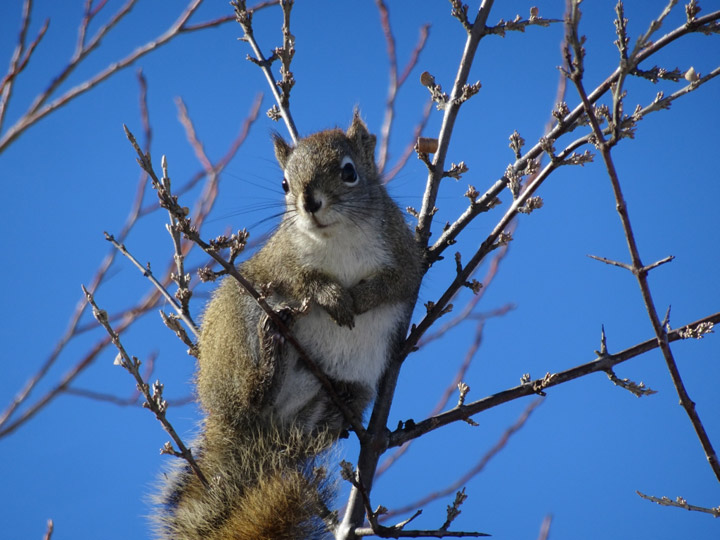 Feb. 28: Diane Kacher took this Your Saskatchewan photo near Aberdeen.