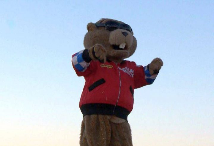 Balzac Billy emerged from his burrow in 2017 with a prediction Albertans would see six more weeks of winter.