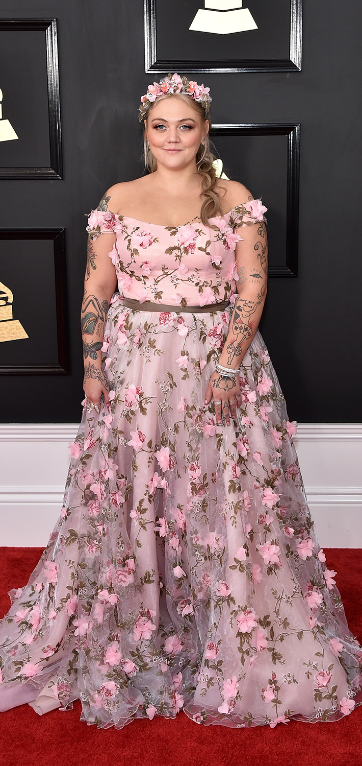Grammy Awards 2017: Best red carpet looks - image