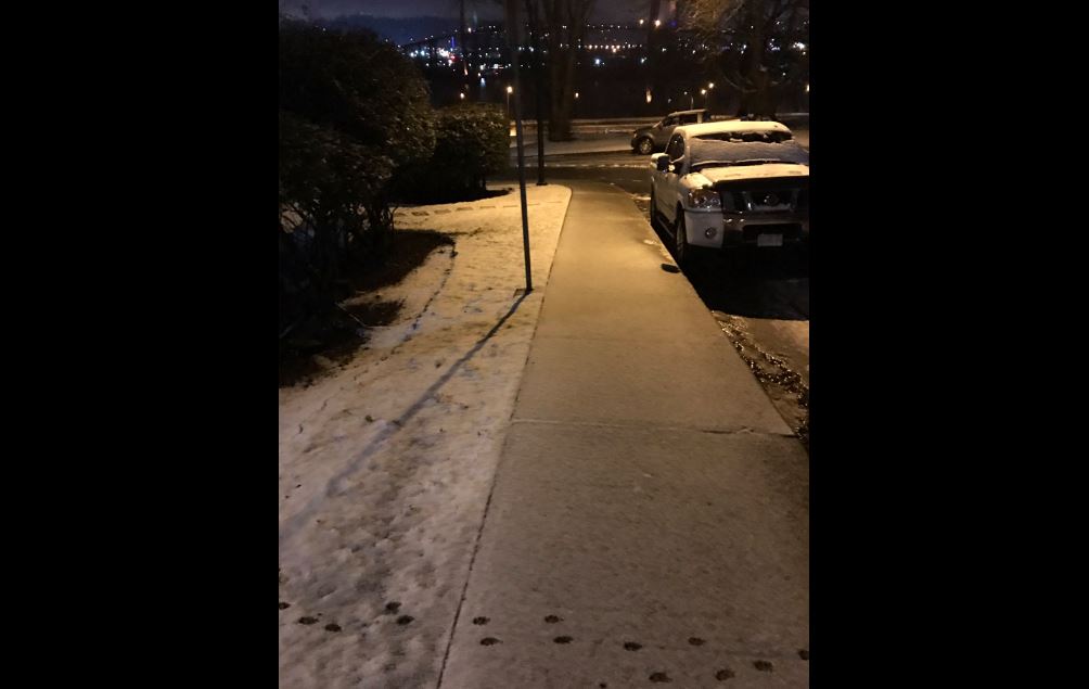 A fresh dusting of snow in New Westminster Friday morning.