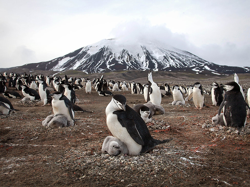‘Planet Earth II’ review: 9 things to know about the nature docuseries - image